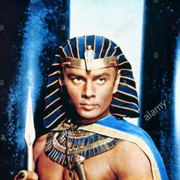 Meet your Posher, Robert - Picture 1 of 1